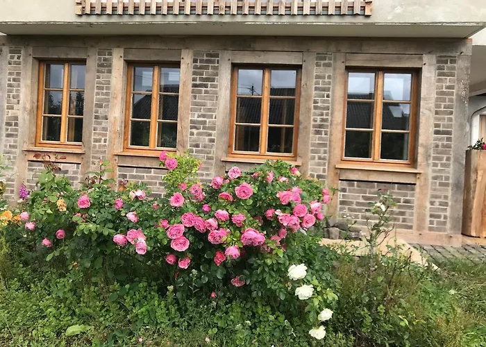 Daire Haus Tersteegen *