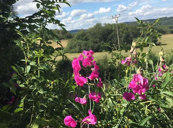 Daire Haus Tersteegen *